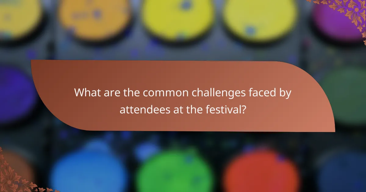 What are the common challenges faced by attendees at the festival?