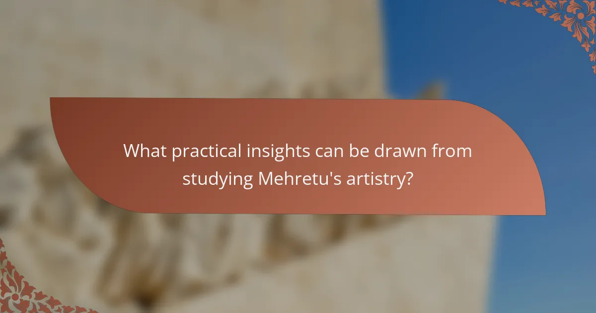 What practical insights can be drawn from studying Mehretu's artistry?